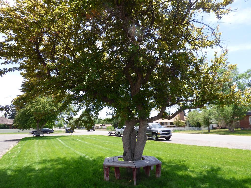 Canyon Lodge Motel Panguitch Exterior photo